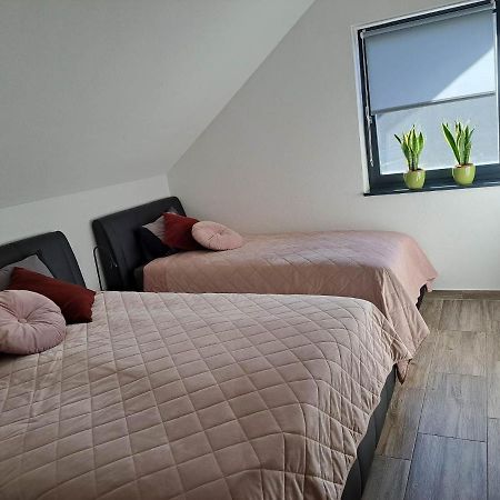 Apartmaji Tisa In Zana Rovte Екстериор снимка
