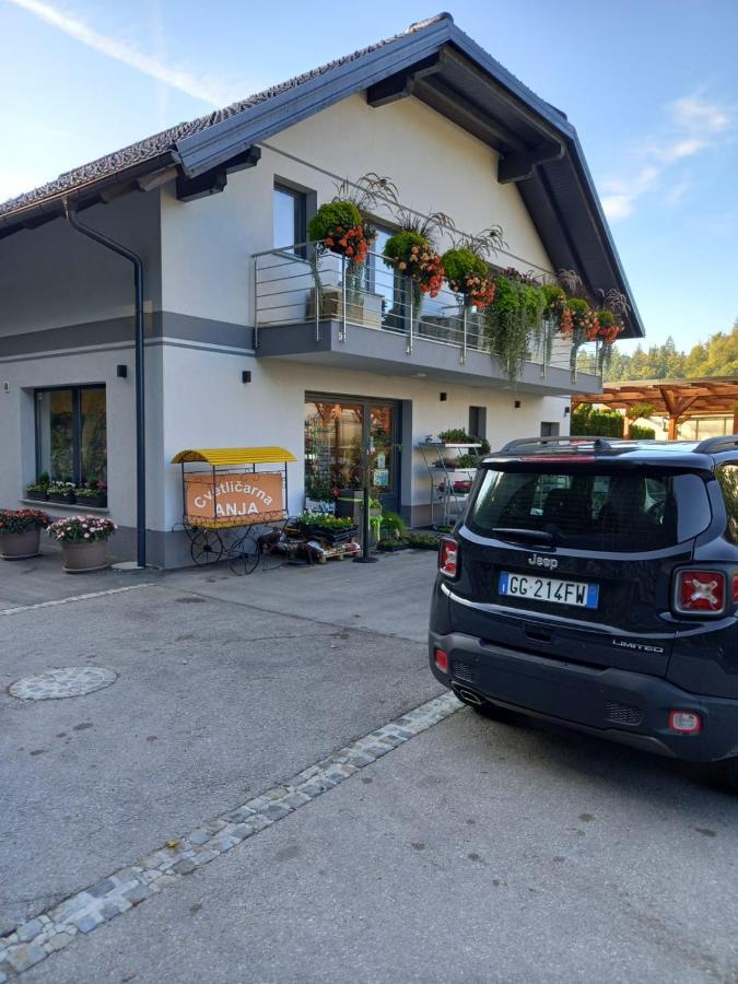 Apartmaji Tisa In Zana Rovte Екстериор снимка