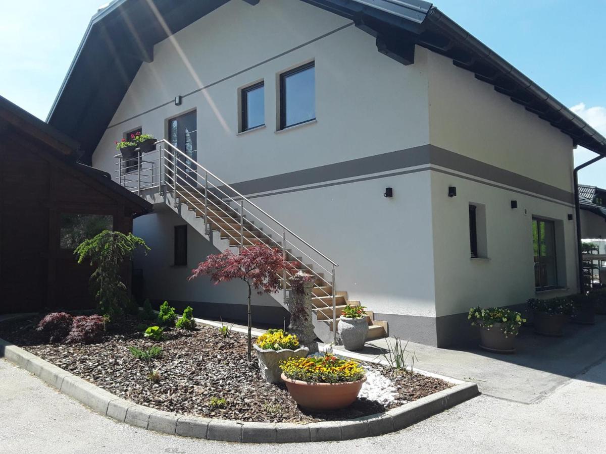 Apartmaji Tisa In Zana Rovte Екстериор снимка
