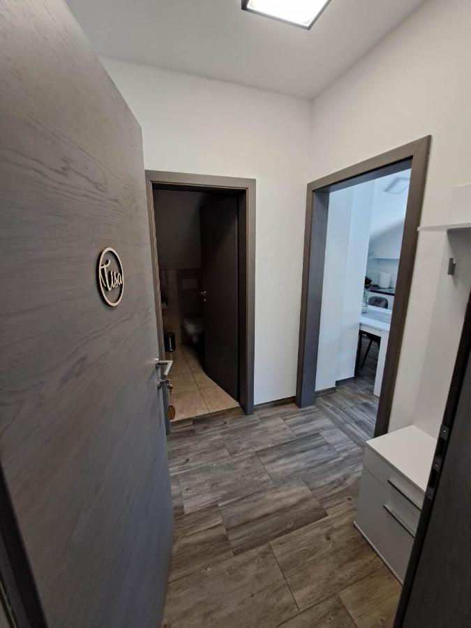 Apartmaji Tisa In Zana Rovte Екстериор снимка