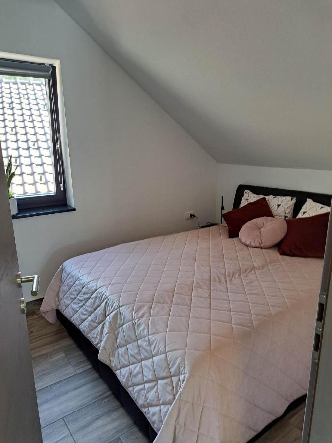Apartmaji Tisa In Zana Rovte Екстериор снимка