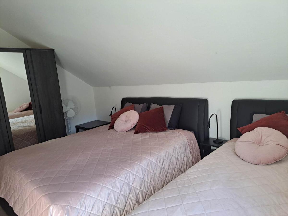 Apartmaji Tisa In Zana Rovte Екстериор снимка