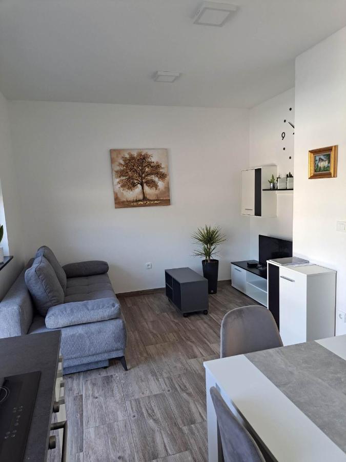 Apartmaji Tisa In Zana Rovte Екстериор снимка
