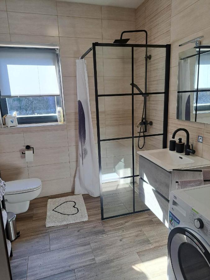Apartmaji Tisa In Zana Rovte Екстериор снимка