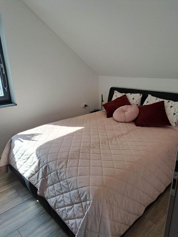 Apartmaji Tisa In Zana Rovte Екстериор снимка